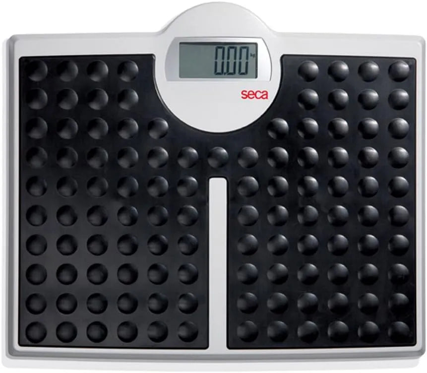 seca 813 High Capacity Digital Flat Scale for Individual Patient Use