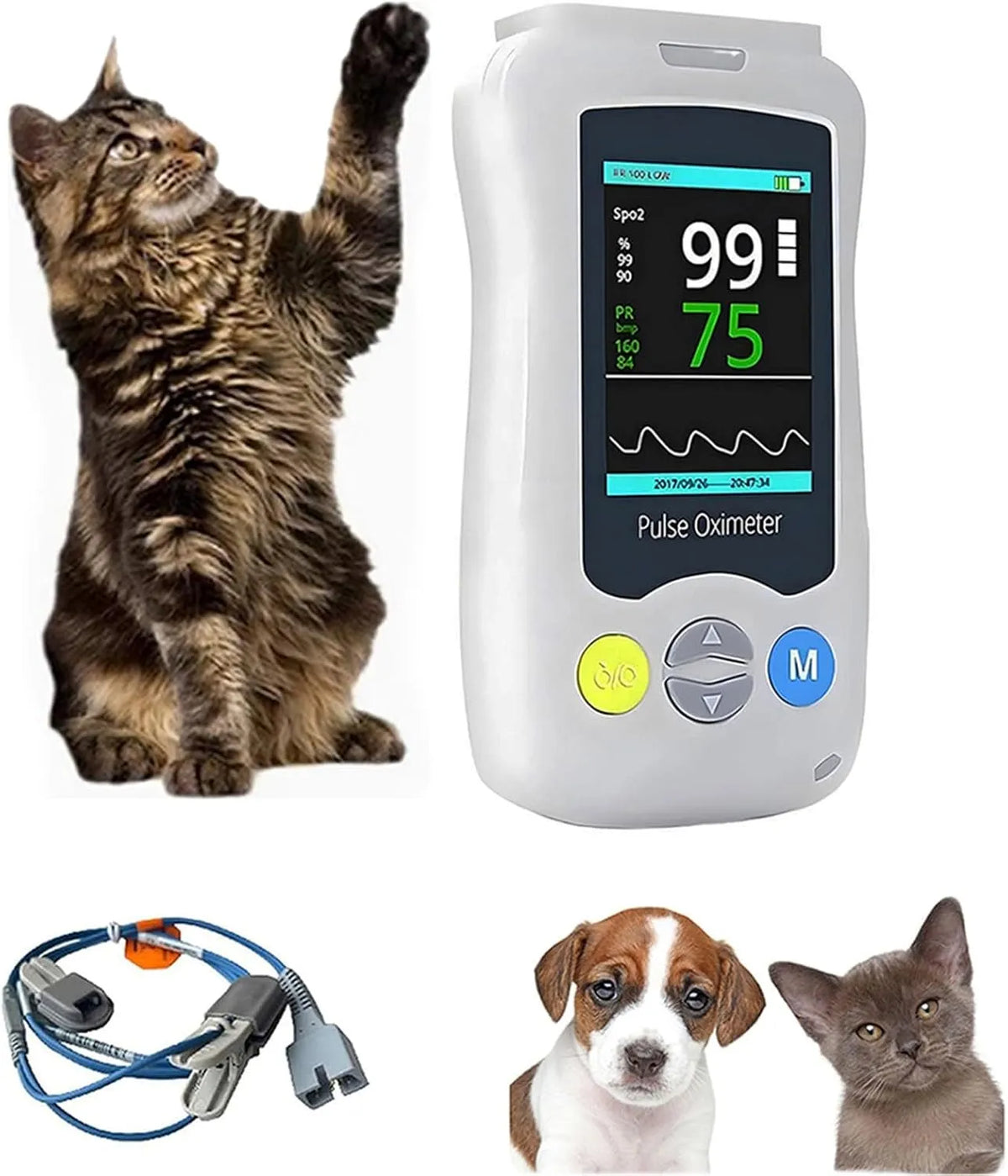Monitor, Pulsossimetro SPO2, portatile, Veterinario Portatile
