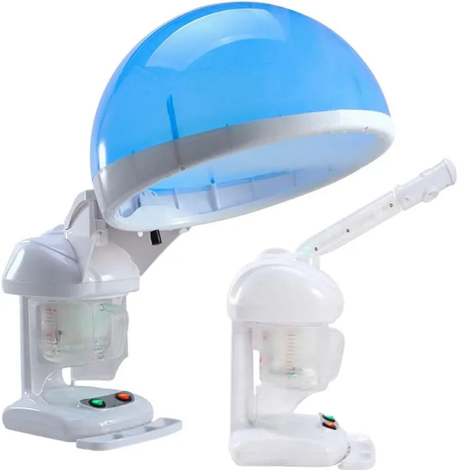 In1 Vaporizzatore, Umidificatore, decorazione del soggiorno, vapore, per Casa Salone terme bellezza attrezzatura