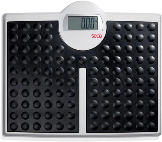 seca 813 High Capacity Digital Flat Scale for Individual Patient Use